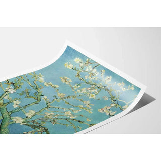 Affiche Amandier en fleurs - Vincent Van Gogh