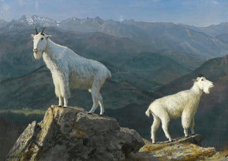 Albert Bierstadt - Mountain goats.webp