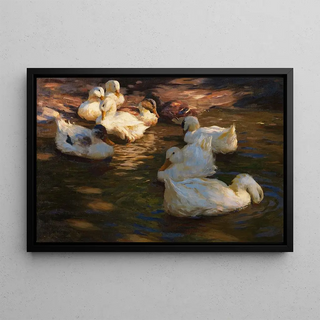 Alexander Koester - 9 Enten im Abendlicht.webp