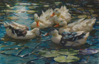 Alexander Koester - Fnf bunte Enten in blauem Seerosenwasser.webp