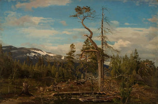 Amaldus Nielsen - verst i Setesdal.webp