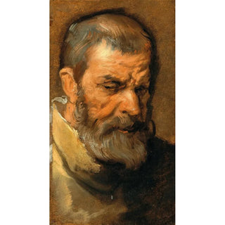 Anthony van Dyck - Head Of A Bearded Man.webp