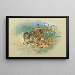 Archibald Thorburn - Woodcock and Young.webp