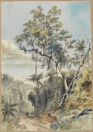 Ferdinand Keller - Farbige Baumstudie im Urwald an einem Weg.webp