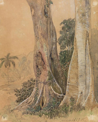 Ferdinand Keller - FigeiraStmme am Ufer des Parahyba.webp