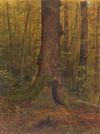 Frederic Edwin Church - In the Woods probably Maine.webp