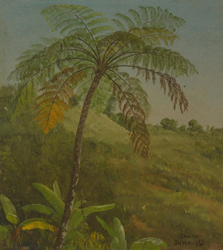 Frederic Edwin Church - Palm Tree Jamaica.webp