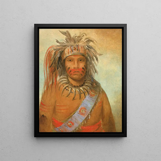 George Catlin - Aunimmuckkwaum Tempest Bird.webp