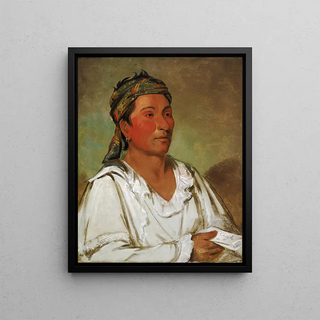 George Catlin - Layloahpeeisheekaw Grass Bush and Blossom Semicivilized.webp