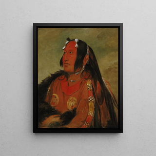 George Catlin - Wijnjon Pigeons Egg Head The Light a Distinguished Young Warrior.webp