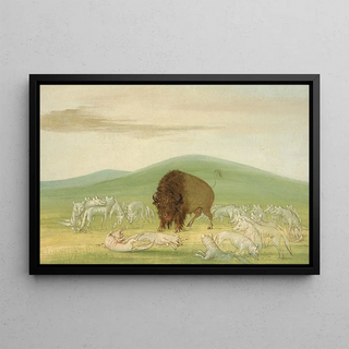 George Catlin - Wounded Buffalo Bull Surrounded by White Wolves.webp