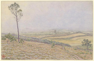 Henri Rivire - Morgat landes de Lequiffiniec dans la brume.webp