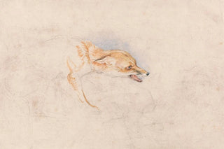 John Frederick Lewis - Study of a Crouching Fox Facing Right.webp