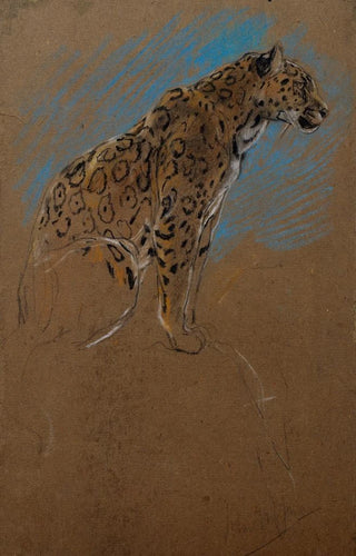 John Macallan Swan - Study of a Jaguar.webp