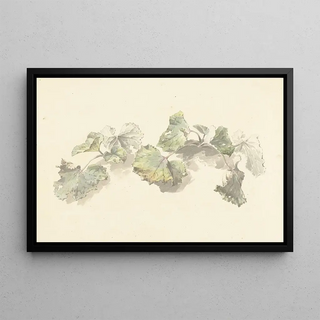 Josephus Augustus Knip - Studie van bladeren.webp