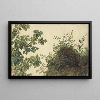 Kilian Zoll - Study of Vegetation.webp