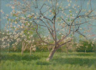 Ladislav Mednynszky - Study of Blooming Trees in an Orchard.webp