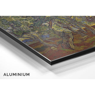 Le jardin de l'hôpital Saint-Paul - Vincent van Gogh | Reproduction Tableau Décoration murale affiche copie