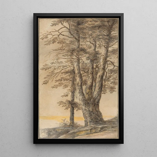 Lucas van Uden - Study of Trees.webp