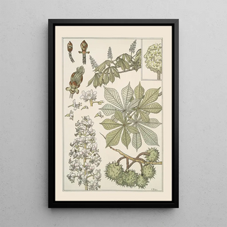 Maurice Pillard Verneuil - Marronnier.webp