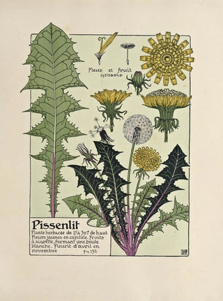 Maurice Pillard Verneuil - Pissenlit.webp