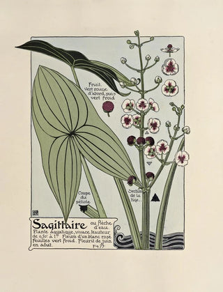 Maurice Pillard Verneuil - Sagittaire.webp