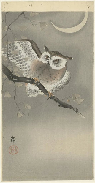 Ohara Koson - Longeared owl in ginkgo.webp