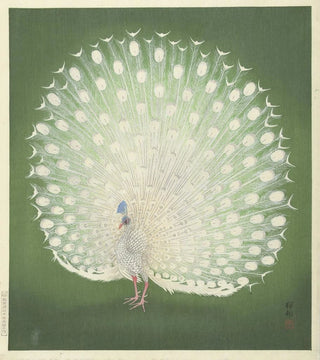 Ohara Koson - Peacock.webp