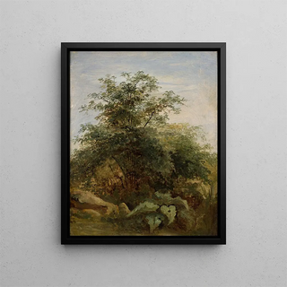 PierreHenri de Valenciennes - Study of a bush plants and rocks next to the lake Nemi.webp