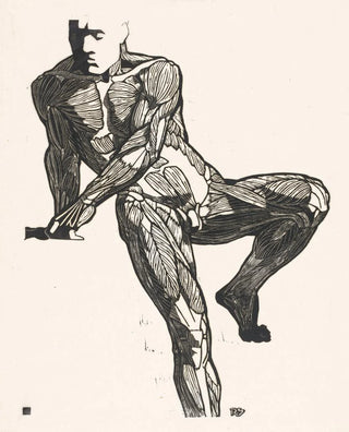 Reijer Stolk - Anatomische studie van de borst buik en beenspieren van een man.webp