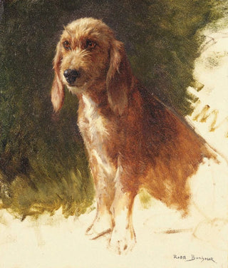 Rosa Bonheur - Study of a Dog.webp