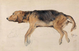 Sir Edwin Henry Landseer - Study of a Dog Lying Down.webp