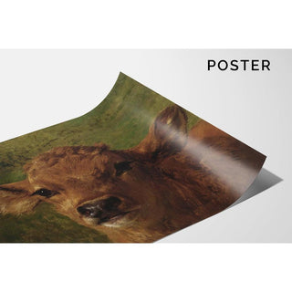 Tête de veau - Rosa Bonheur | Reproduction Tableau Décoration murale affiche copie