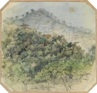 Vue de la forêt vierge dans les montagnes - Ferdinand Keller