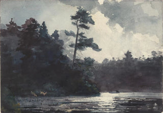 Winslow Homer - Adirondack Lake.webp