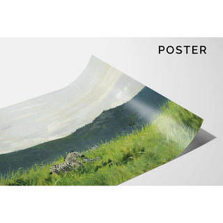 Zèbre dans la steppe - Wilhelm Kuhnert | Reproduction Tableau Décoration murale affiche copie