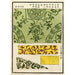 Reprodukcja obrazu Estampes chinoises pl26 - A F Stoddard Company