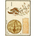 Reprodukcja obrazu Estampes chinoises pl90 - A F Stoddard Company