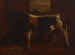 Un taureau primé - Abbott Handerson Thayer — widok dzieła