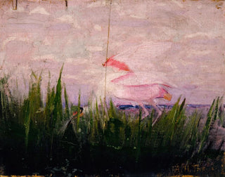 Studium różowej szpachelki do książki Camouflage dans le règne animal - Abbott Handerson Thayer — widok dzieła