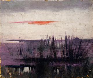 Abbott Handerson Thayer - The Sky Simulated By White Flamingoes Study For Book Concealing Coloration In The Animal Kingdom.webp