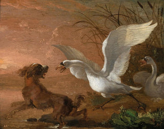 Abraham Hondius - A swan attacking a dog.webp