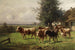 Troupeau de vaches près de Dachau - Adolf Chelius — widok dzieła