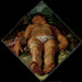 Adonis umierający - Hendrick Goltzius — widok dzieła