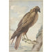 Un cerf-volant - Aert Schouman — widok dzieła