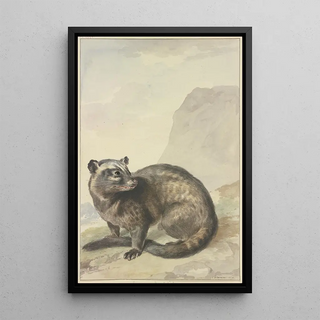 Aert Schouman - Een vreemde LevetKat.webp
