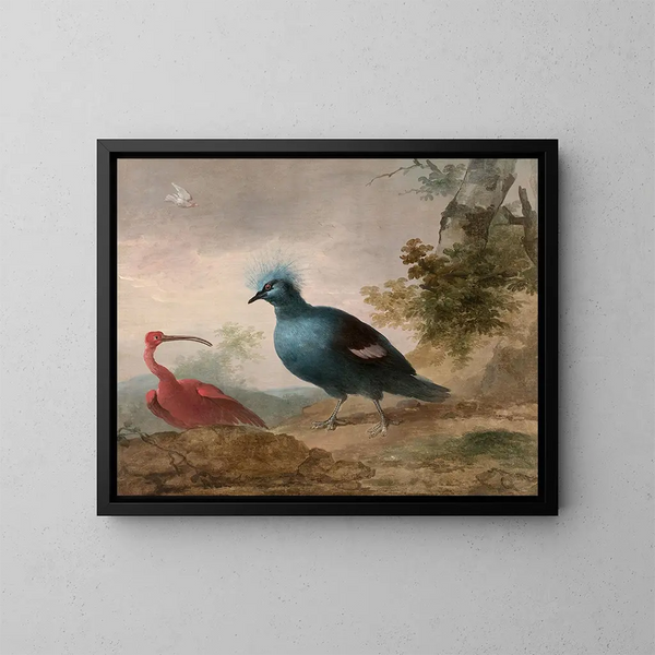 Pintade de Numidie, cacatoès noir, ibis rouge et goura couronné - Aert Schouman — oprawiony obraz na ścianie