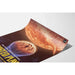 Plakat vintage NASA - The Roasted Planet 2021