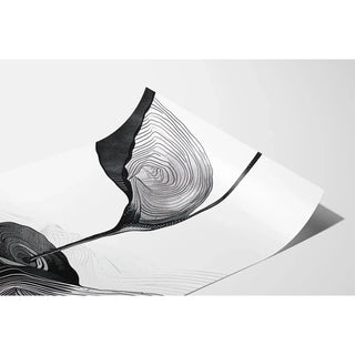 Affiches design noir et blanc - Fusion Organique