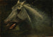 Dziki mustang, oryginalny szkic do Le Dernier des bisons - Albert Bierstadt — widok dzieła